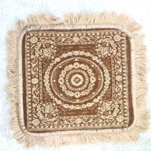 Pooja Aasan
